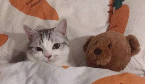 怎么讓腦子停止胡思亂想 控制注意力集中的方法