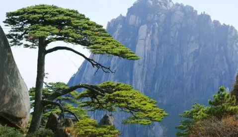 2020國際山岳日是哪一天 國際山岳日的由來和意義 2020國際山岳日是哪一天 國際山岳日的由來和意義