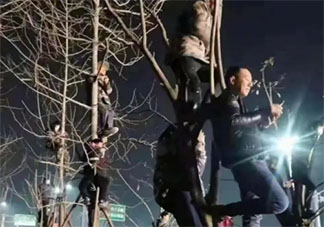 觀眾為了看潘長江演出爬上樹是怎么回事 潘長江在哪里演出