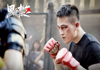 《黑白禁區(qū)》原著小說是什么 《黑白禁區(qū)》劇情簡介