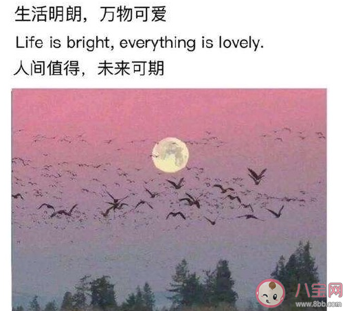 2020年終于熬過去了心情感慨說說 2020年這一年中終于結束了辛酸語錄