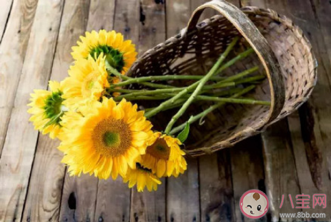 2020年經(jīng)歷了太多的朋友圈心情說說 2020這一年經(jīng)歷了太多感想句子