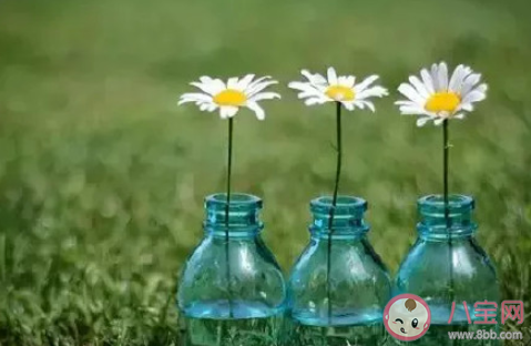 2020年經(jīng)歷了太多的朋友圈心情說說 2020這一年經(jīng)歷了太多感想句子