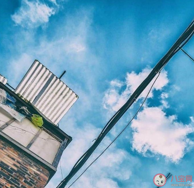 2021微信置頂語(yǔ)文案優(yōu)美句子 微信朋友圈封面置頂文案大全 2021微信置頂語(yǔ)文案優(yōu)美句子 微信朋友圈封面置頂文案大全