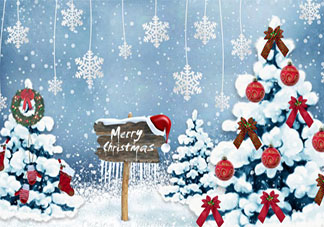 關(guān)于圣誕節(jié)溫馨的句子說(shuō)說(shuō) 圣誕節(jié)溫馨文案發(fā)朋友圈美句