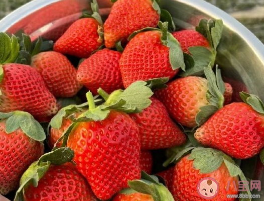 吃到自家種的水果發(fā)朋友圈 自家種的水果心情感言 吃到自家種的水果發(fā)朋友圈 自家種的水果心情感言