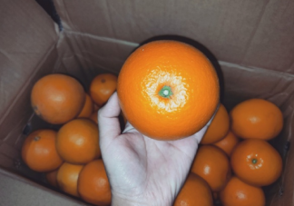 吃到自家種的水果發朋友圈 自家種的水果心情感言