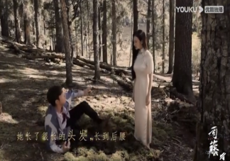 白英和司藤是不是同一個人 西竹和司藤是什么關系