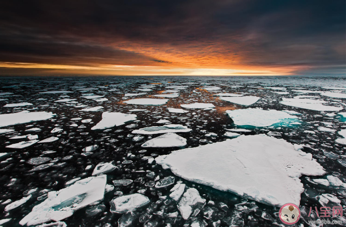 2020年是有記錄以來最熱年份之一嗎 全球變暖有多可怕