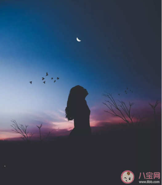 生活中有哪些鮮為人知的真相 那些鮮為人知的人生殘酷真相