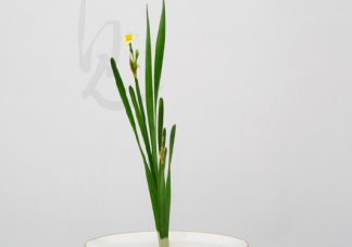 2020年12月最后一天的心情感慨說說 12月最后一天了文案期待句子