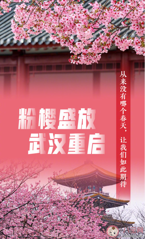 2020年有哪些顏色 你的2020年是什么顏色