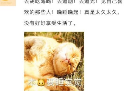 考研結束后的祝福語怎么寫 考研結束的祝福句子