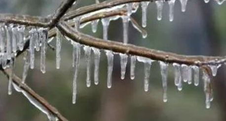 哪些地區將降溫16度 12月寒潮會影響哪些地區 哪些地區將降溫16度 12月寒潮會影響哪些地區