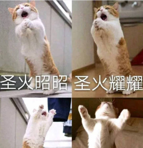 貓貓能有什么壞心眼呢是什么梗 貓貓能有什么壞心眼呢圖片大全