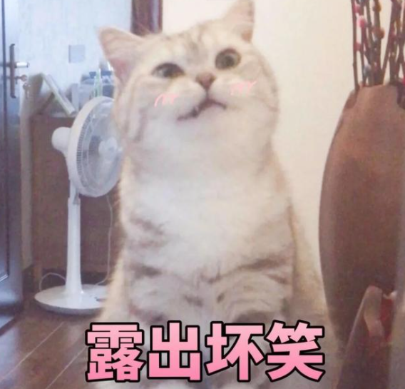 貓貓能有什么壞心眼呢是什么梗 貓貓能有什么壞心眼呢圖片大全