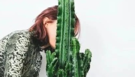 如何看待家庭式PUA 家庭式PUA是怎樣的 如何看待家庭式PUA 家庭式PUA是怎樣的