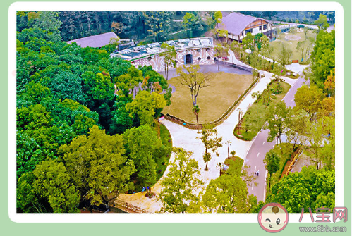 武漢野生動物王國什么時候開園 武漢野生動物王國有哪些好玩的 武漢野生動物王國什么時候開園 武漢野生動物王國有哪些好玩的