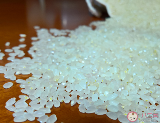 胚芽米是智商稅嗎 寶寶吃普通大米還是胚芽米好