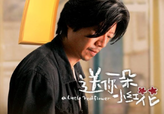 《送你一朵小紅花》電影影評分析大全 送你一朵小紅花電影觀后感大全