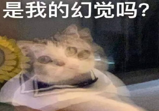 明天開始上班了發表心情說說 收拾好心情上班朋友圈配圖