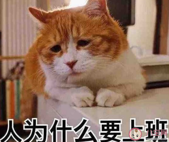 年輕人加班的原因有哪些 年輕人對加班的看法思考 年輕人加班的原因有哪些 年輕人對加班的看法思考