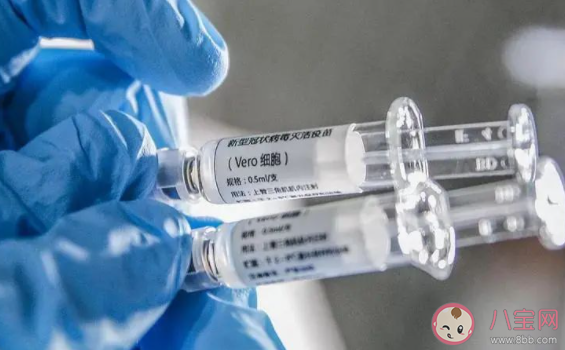 打了新冠疫苗后多久才能正常備孕 打新冠疫苗后懷孕了有什么影響