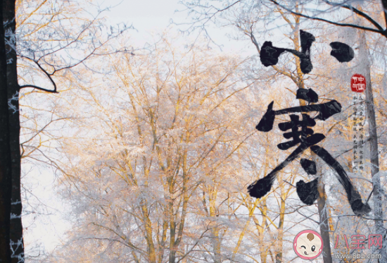 小寒節氣為什么是最冷的日子 小寒節氣天氣特點介紹 小寒節氣為什么是最冷的日子 小寒節氣天氣特點介紹
