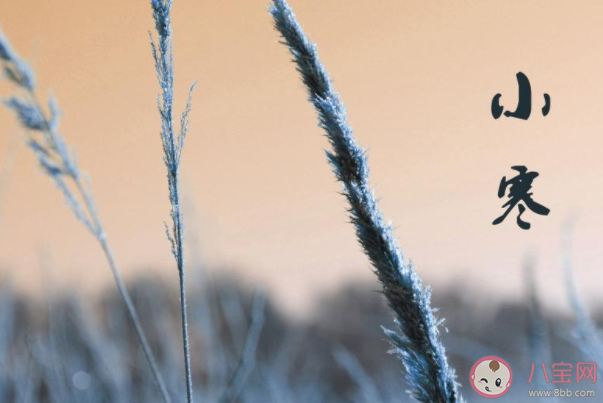 小寒節氣順口溜俗語一句話 大寒小寒又一年順口溜句子 小寒節氣順口溜俗語一句話 大寒小寒又一年順口溜句子