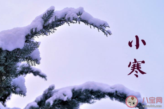 小寒節氣順口溜俗語一句話 大寒小寒又一年順口溜句子 小寒節氣順口溜俗語一句話 大寒小寒又一年順口溜句子