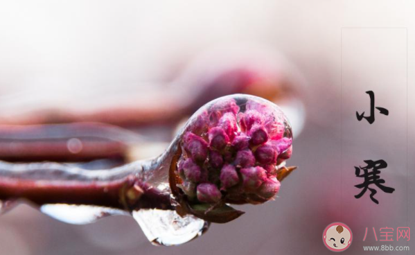 小寒節氣順口溜俗語一句話 大寒小寒又一年順口溜句子 小寒節氣順口溜俗語一句話 大寒小寒又一年順口溜句子