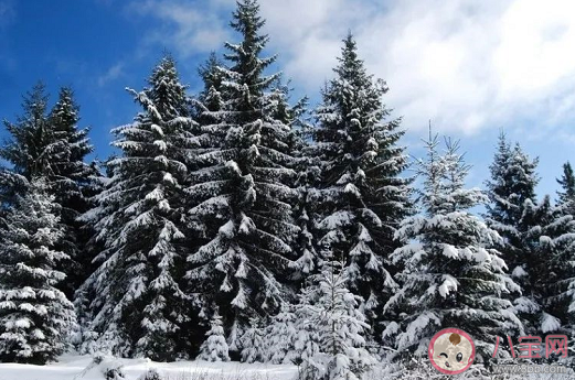 今天大寒發朋友圈文案 和大寒節氣有關的唯美句子 今天大寒發朋友圈文案 和大寒節氣有關的唯美句子