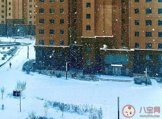 想看大雪紛飛發朋友圈說說 描寫大雪紛飛的優美感言句子 想看大雪紛飛發朋友圈說說 描寫大雪紛飛的優美感言句子