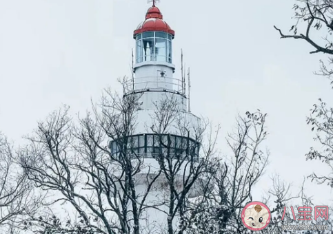 想看大雪紛飛發朋友圈說說 描寫大雪紛飛的優美感言句子 想看大雪紛飛發朋友圈說說 描寫大雪紛飛的優美感言句子