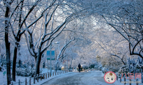 想看大雪紛飛發朋友圈說說 描寫大雪紛飛的優美感言句子 想看大雪紛飛發朋友圈說說 描寫大雪紛飛的優美感言句子