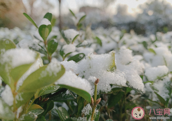 今年的第一場大雪發朋友圈說說 2021年第一次場大雪心情感慨一句話