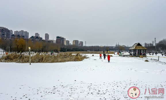 2021冬季第一場雪人生感悟感言句子 2021的第一場雪唯美浪漫感慨