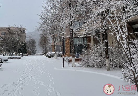 2021冬季第一場雪人生感悟感言句子 2021的第一場雪唯美浪漫感慨