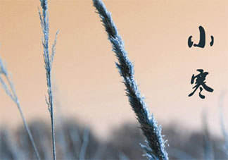 小寒節氣順口溜俗語一句話 大寒小寒又一年順口溜句子