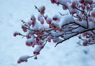 今天大寒發朋友圈文案 和大寒節氣有關的唯美句子