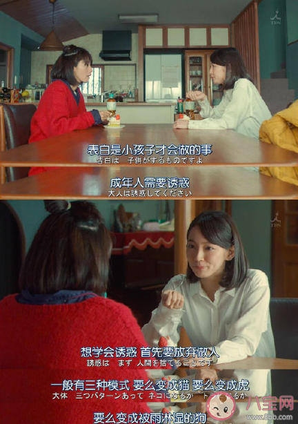 貓老虎被雨淋濕的狗狗是什么意思 成年人愛情告白套路是什么