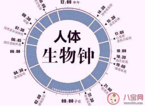 滿25歲就不用定鬧鐘了是什么意思 生物鐘會讓你每天按時醒來嗎