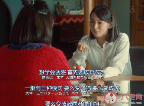 貓老虎被雨淋濕的狗狗是什么梗 貓老虎被雨淋濕的狗狗出處是什么 貓老虎被雨淋濕的狗狗是什么梗 貓老虎被雨淋濕的狗狗出處是什么