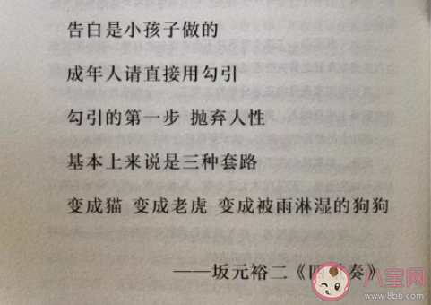 貓老虎被雨淋濕的狗狗是什么梗 貓老虎被雨淋濕的狗狗出處是什么 貓老虎被雨淋濕的狗狗是什么梗 貓老虎被雨淋濕的狗狗出處是什么