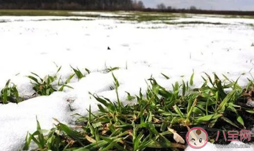 2021首次寒潮發朋友圈配圖文案 2021首次寒潮心情感慨句子 2021首次寒潮發朋友圈配圖文案 2021首次寒潮心情感慨句子