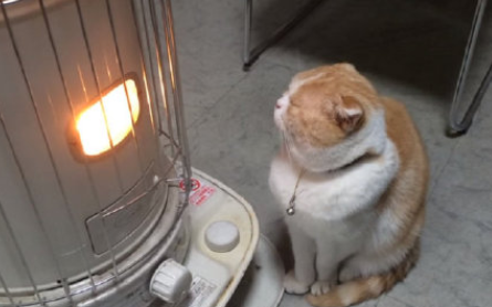 大風(fēng)降溫天怎么穿衣更保暖 降溫天里的保暖攻略 大風(fēng)降溫天怎么穿衣更保暖 降溫天里的保暖攻略