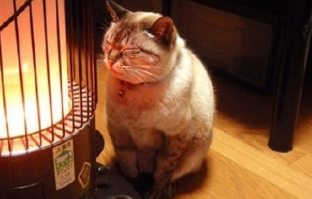 大風(fēng)降溫天怎么穿衣更保暖 降溫天里的保暖攻略 大風(fēng)降溫天怎么穿衣更保暖 降溫天里的保暖攻略