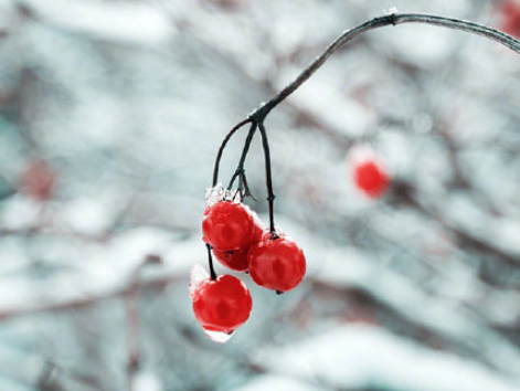 三九天很冷注意保暖的溫馨提示句子 三九天到了注意保暖的說說