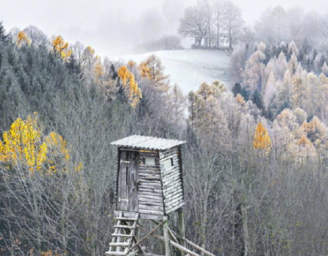 三九天很冷注意保暖的溫馨提示句子 三九天到了注意保暖的說說