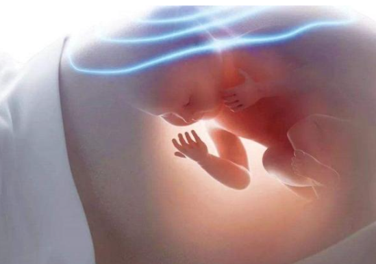 哪個(gè)季節(jié)是生寶寶的最佳時(shí)間 春夏秋冬哪個(gè)季節(jié)生小孩好